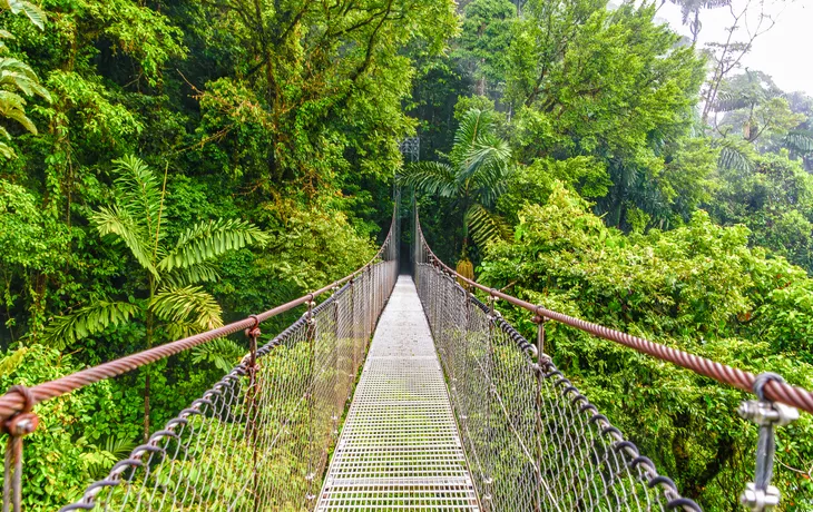 Hängebrücke im Regenwald von Costa Rica - © Lichtwolke99 - stock.adobe.com