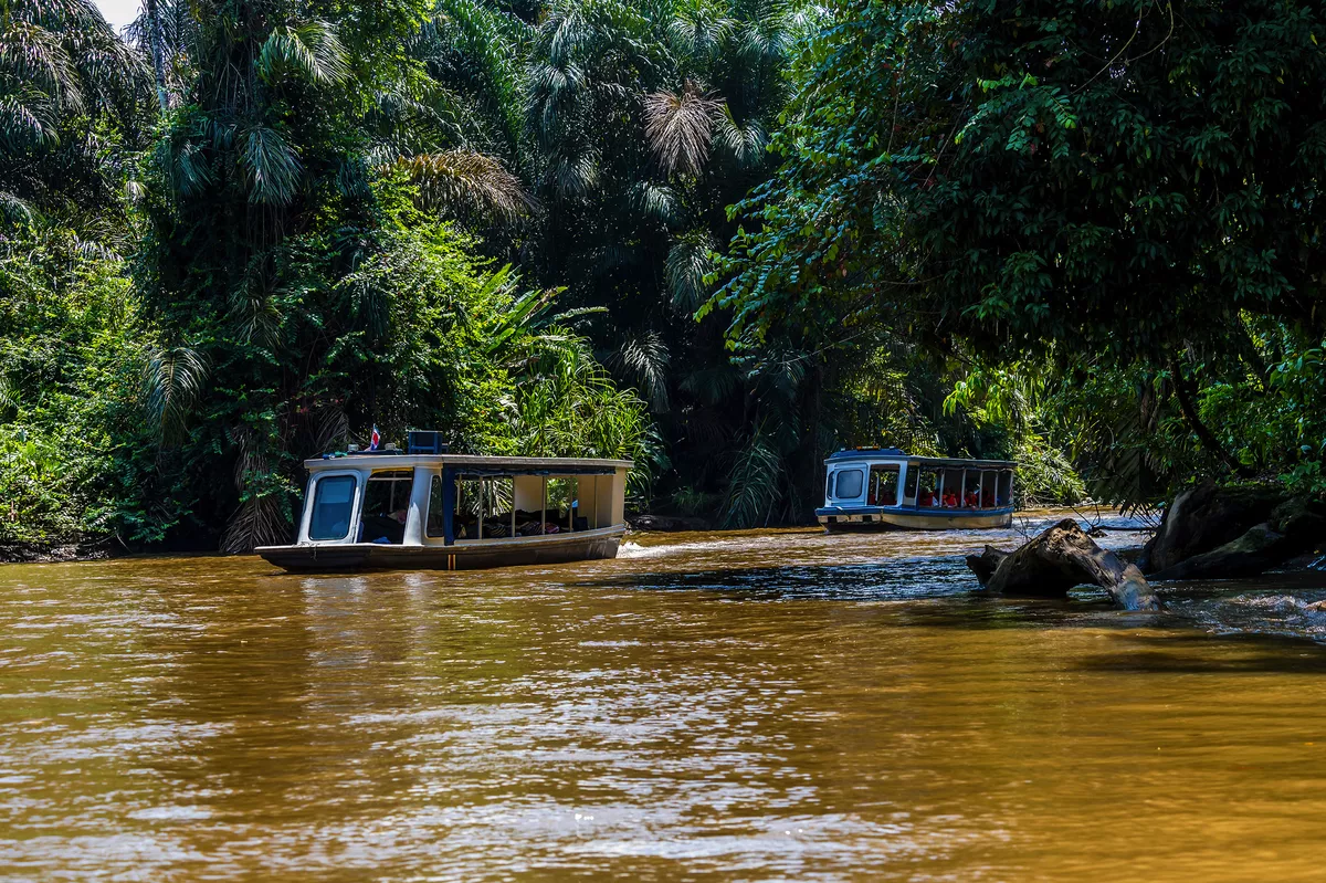 Boote auf dem Fluss Tortuguero in Costa Rica während der Trockenzeit - © Nicola - stock.adobe.com