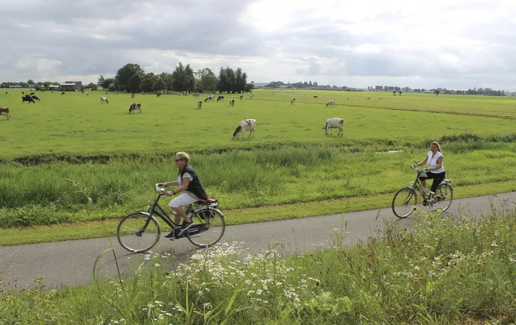 typische Landschaft in Südholland
