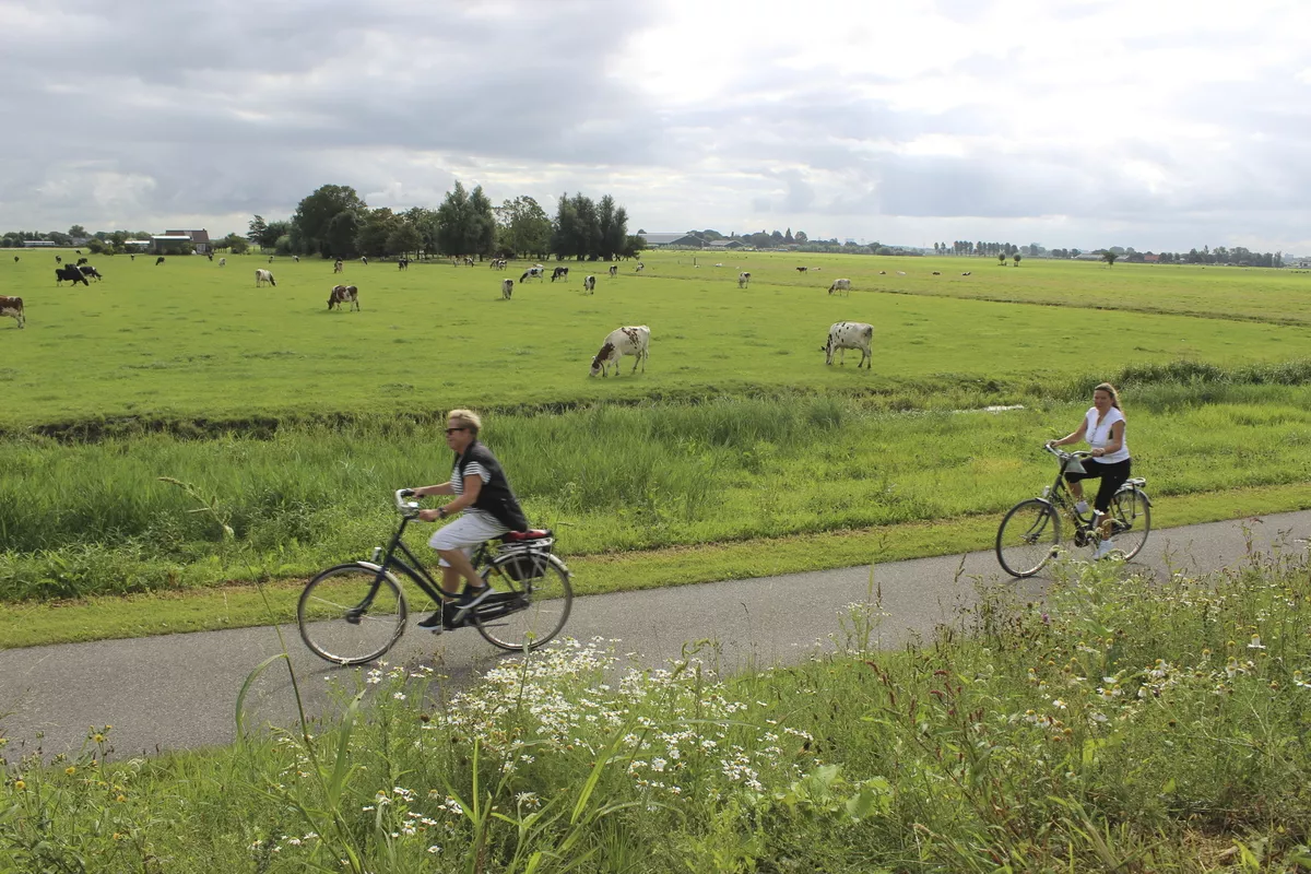 typische Landschaft in Südholland