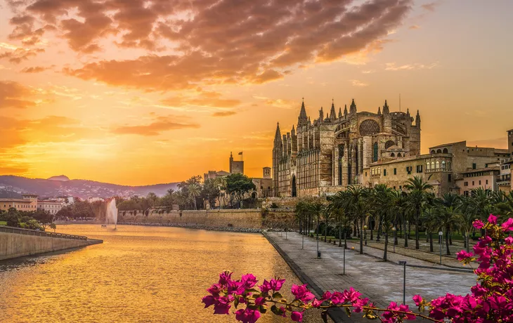 Kathedrale La Seu bei Sonnenuntergang in Palma de Mallorca - © Balate Dorin - stock.adobe.com