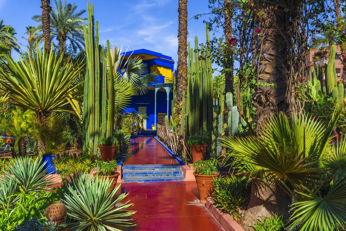 Jardin Majorelle - botanischer Garten in Marrakech - ©Balate Dorin - stock.adobe.com