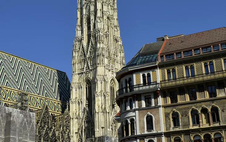 Stephansdom in Wien - ©                                                       