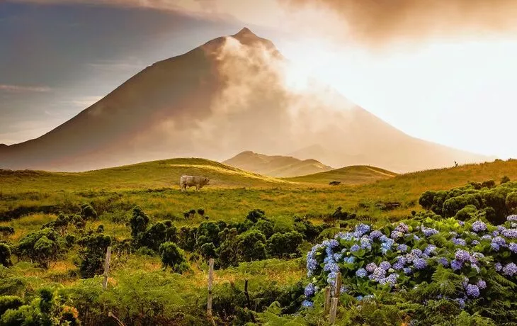 Vulkan Ponta do Pico, Azoren - © rvdschoot - Fotolia