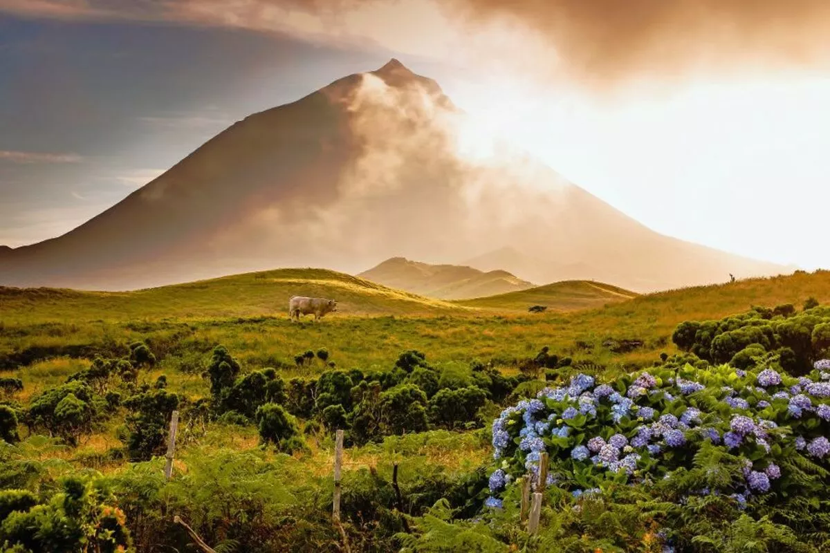 Vulkan Ponta do Pico, Azoren - © rvdschoot - Fotolia
