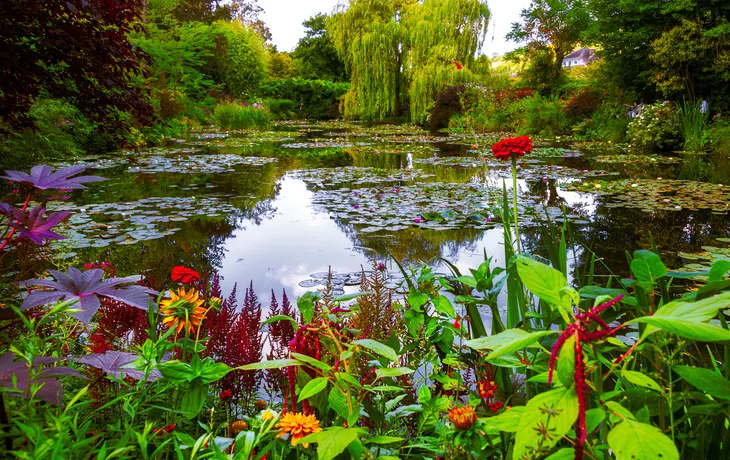 Berühmter Seerosenteich im Garten des Malers Monet in Giverny - © Beatrice - stock.adobe.com