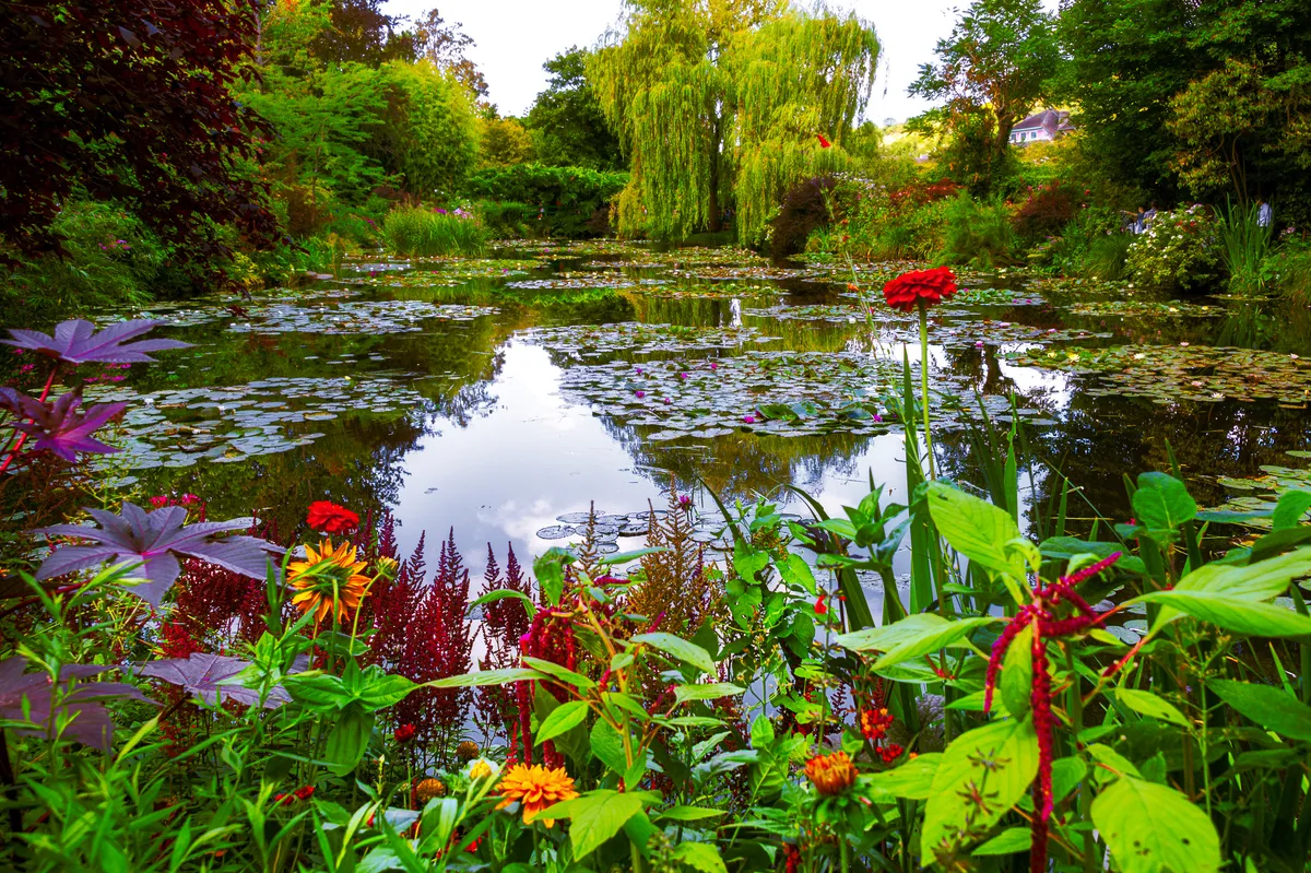 Berühmter Seerosenteich im Garten des Malers Monet in Giverny - © Beatrice - stock.adobe.com