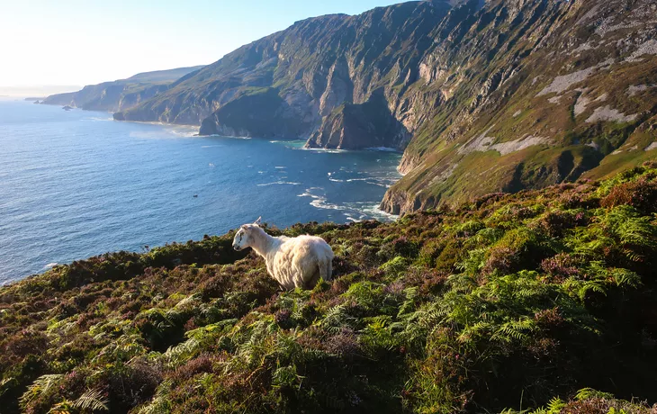 Klippen von Slieve League in der irischen Grafschaft Donegal - © Yanna - stock.adobe.com