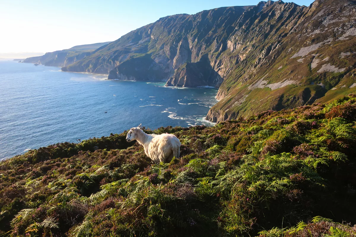 Klippen von Slieve League in der irischen Grafschaft Donegal - © Yanna - stock.adobe.com