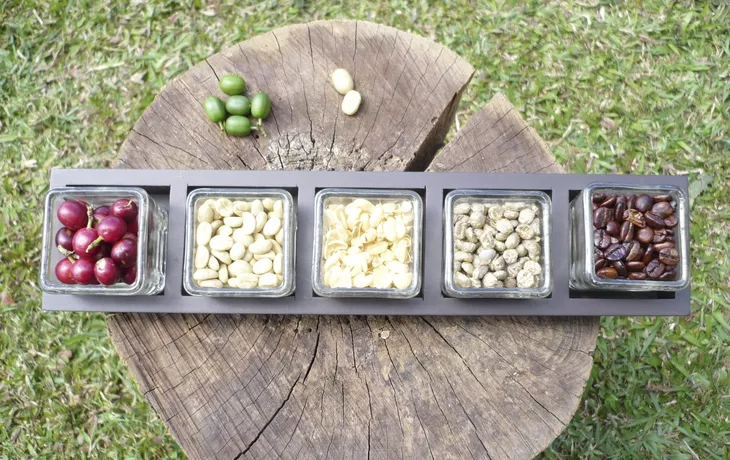 Kaffee: Frucht bis Rohkaffee - © 