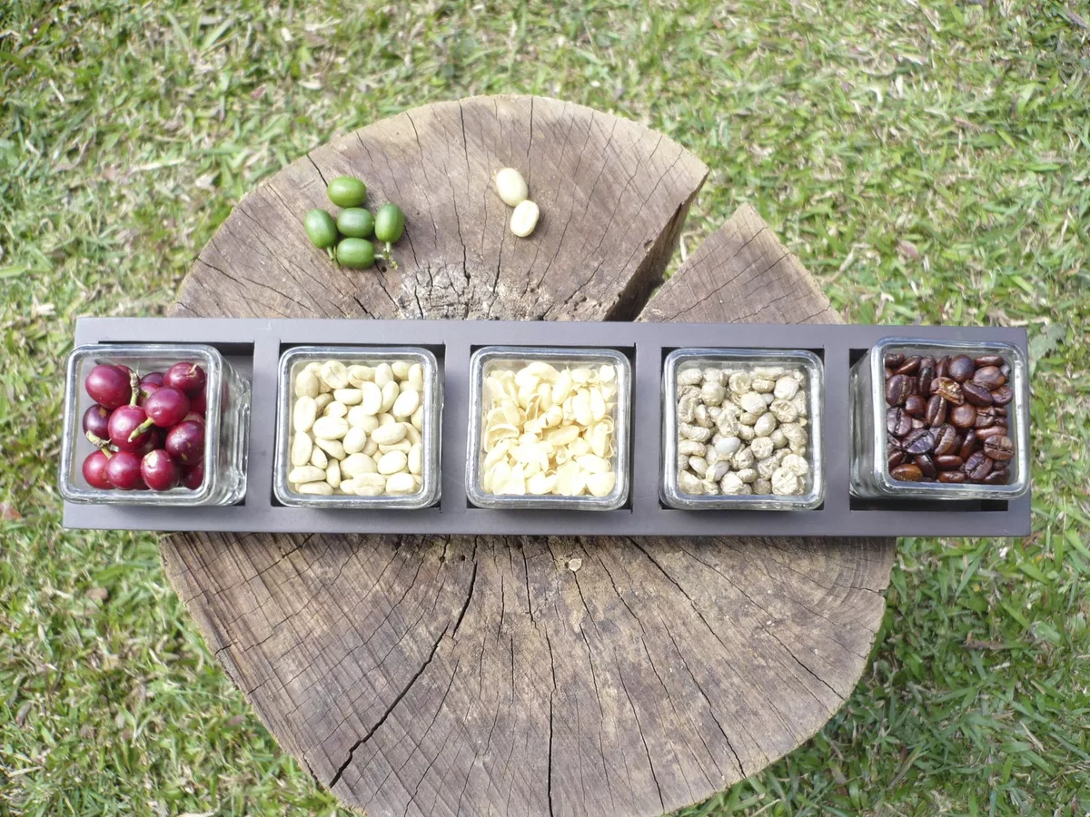 Kaffee: Frucht bis Rohkaffee - © 