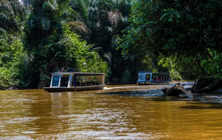 Boote auf dem Fluss Tortuguero in Costa Rica während der Trockenzeit - © Nicola - stock.adobe.com