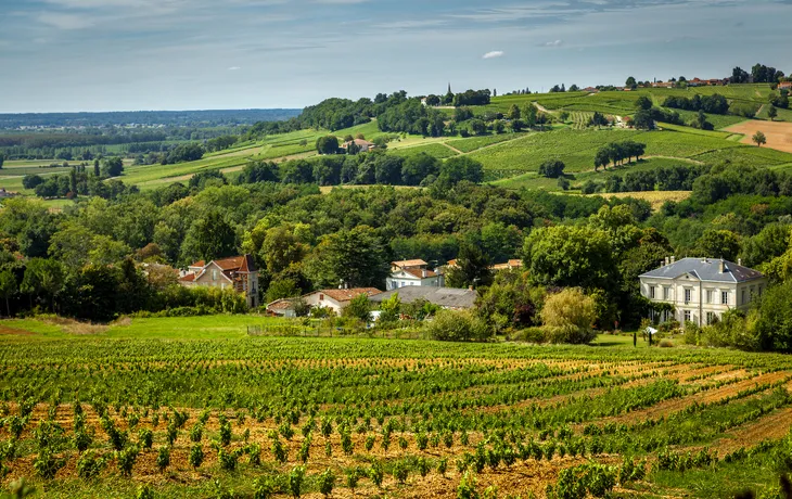 Weinbaugebiet Medoc - © Thomas Launois - stock.adobe.com