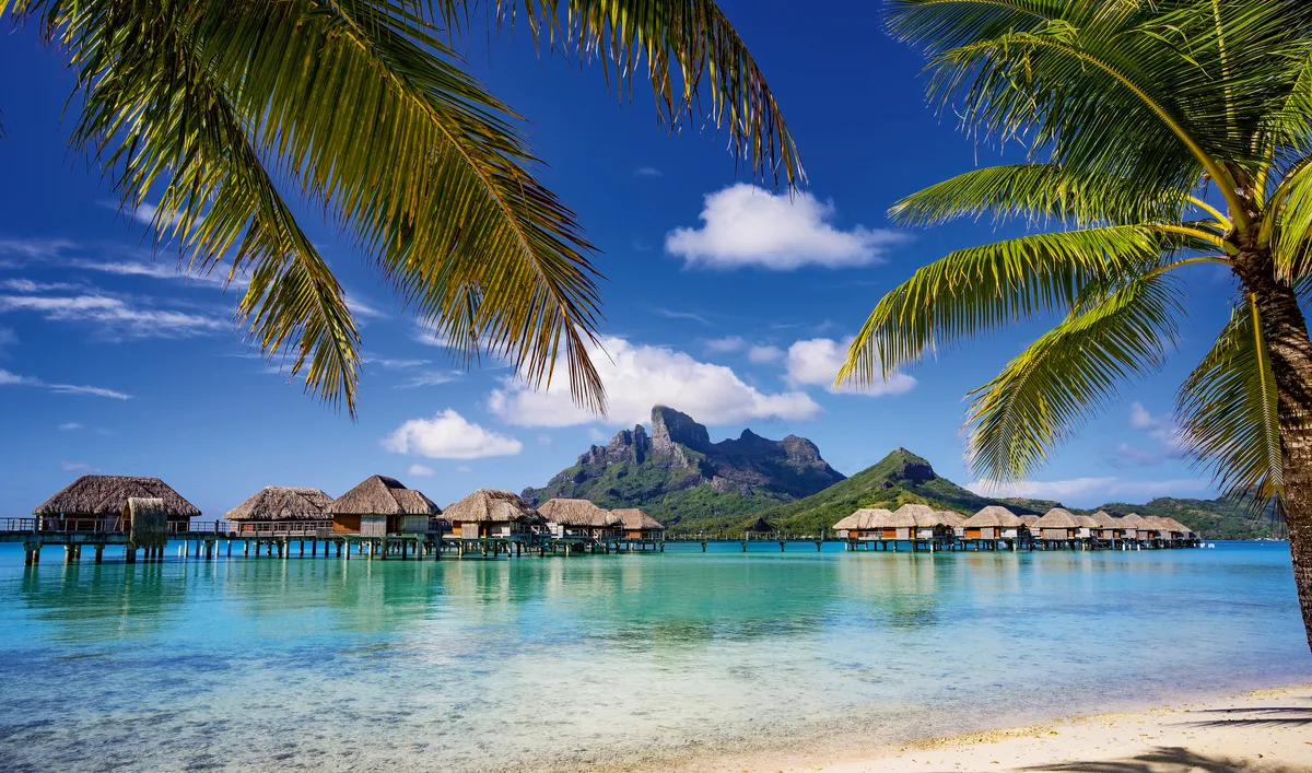 Bora Bora von Palmen umrahmt - © Mike Liu - Fotolia